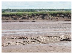 Tidal Bore